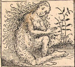 Femme sauvage, illustration de la Chronique de Nuremberg (1493) (source)
